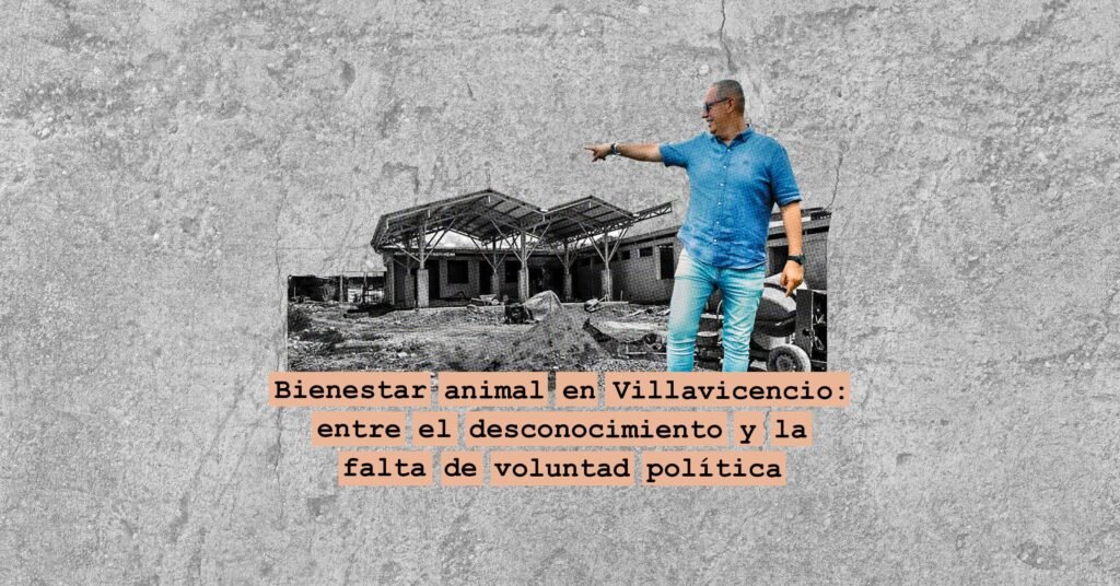 Bienestar animal en Villavicencio: entre el desconocimiento y la falta de voluntad política
