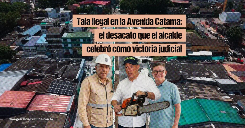 Tala ilegal en la Avenida Catama