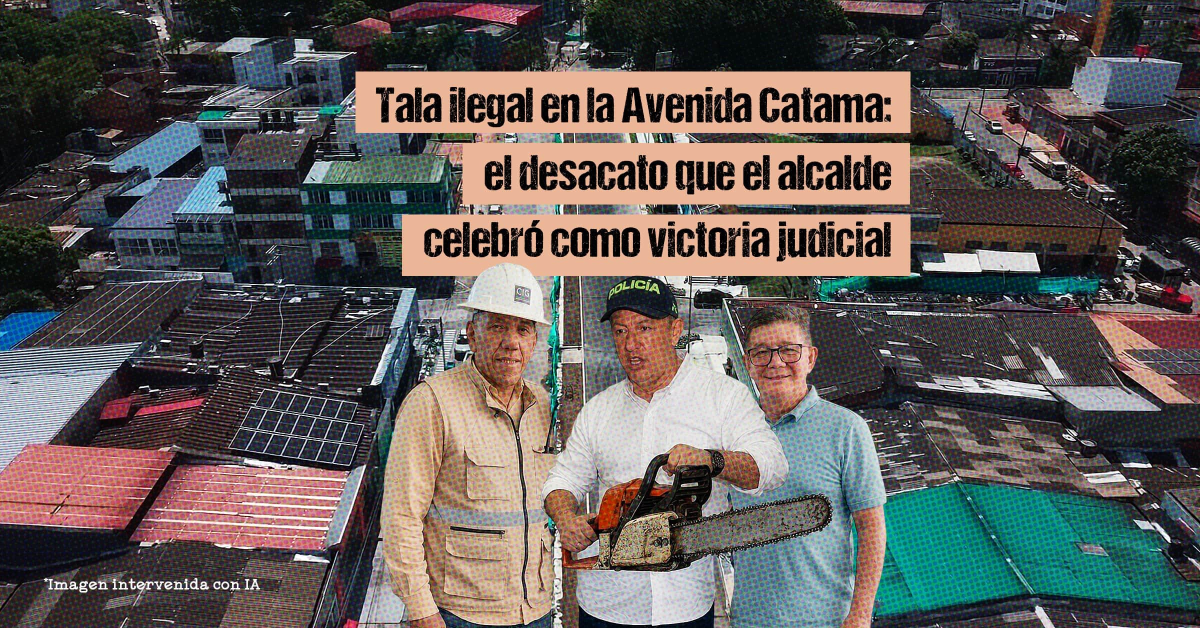 Tala ilegal en la Avenida Catama
