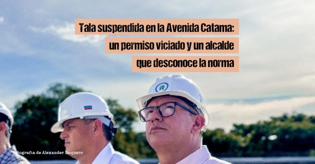 Tala suspendida en la Avenida Catama