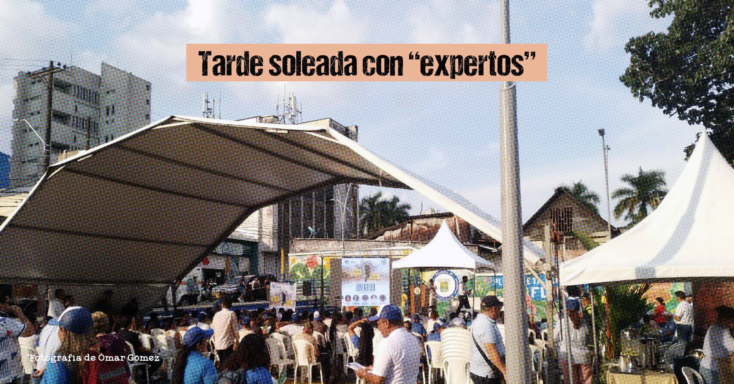 Tarde soleada con "expertos" Tarde soleada con “expertos”